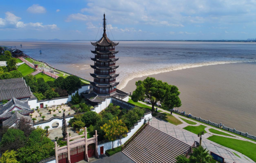 跑百年氧道观钱塘大潮2024海宁追潮马拉松激情开跑(图2)