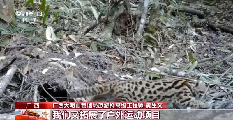 奋进强国路阔步新征程丨攀岩、滑雪、打拳潮运动让城市更美好(图10)