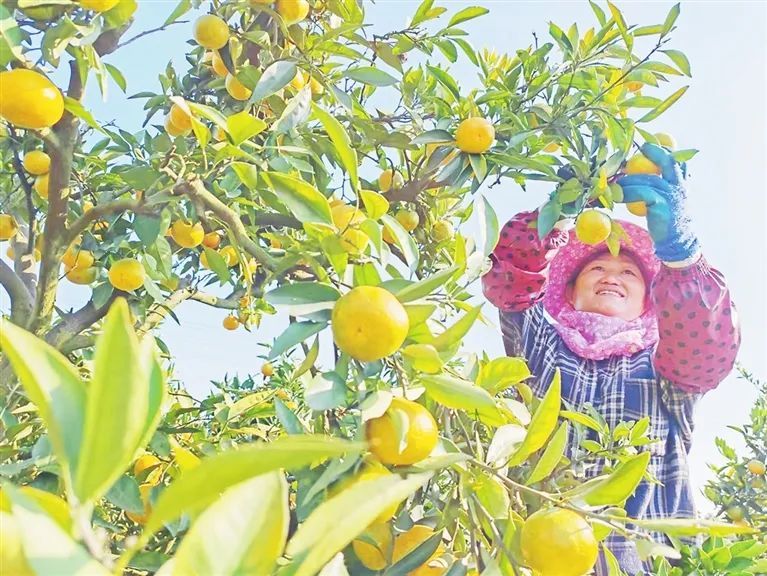 庐山西海游秀水赋新诗(图5)