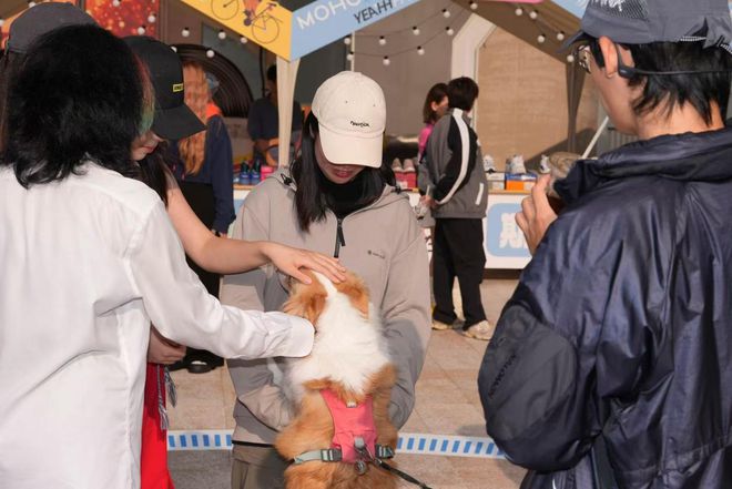 聚人气促消费艺术苏河MOHO首届运动嘉年华精彩来袭(图5)