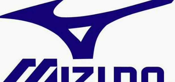 全球十大运动品牌排行榜阿迪达斯仅排第二（运动装品牌）全球排行榜(图4)