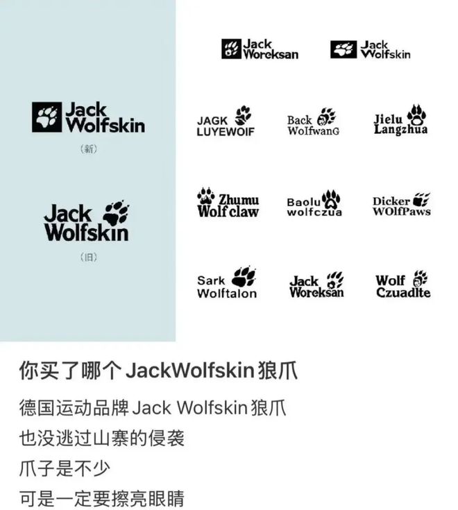 安踏下场亲自搞“平替始祖鸟”(图7)