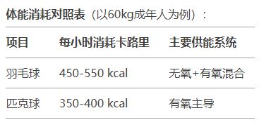 球类运动领域新势力崛起：匹克球与传统四强的全方位分析(图4)