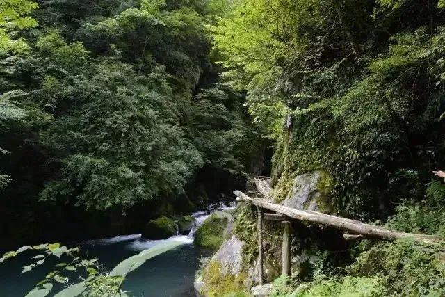 燃烧你的卡路里！初夏镇坪户外打卡指南请查收(图9)
