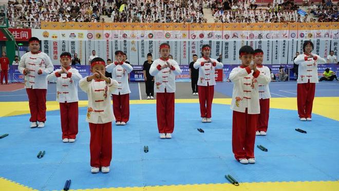千余少年激战郑州！2025武林风全国武道青少年海选赛热血收官(图1)