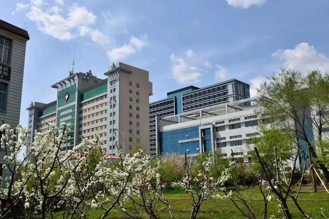 密集换帅！黑龙江5所高校迎来新校长或新书记均为70后学者(图2)