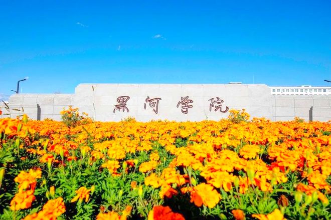 密集换帅！黑龙江5所高校迎来新校长或新书记均为70后学者(图5)
