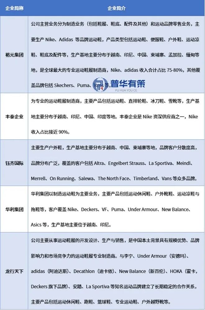 2025-2031年运动鞋履行业市场调研及发展趋势预测报告(图3)