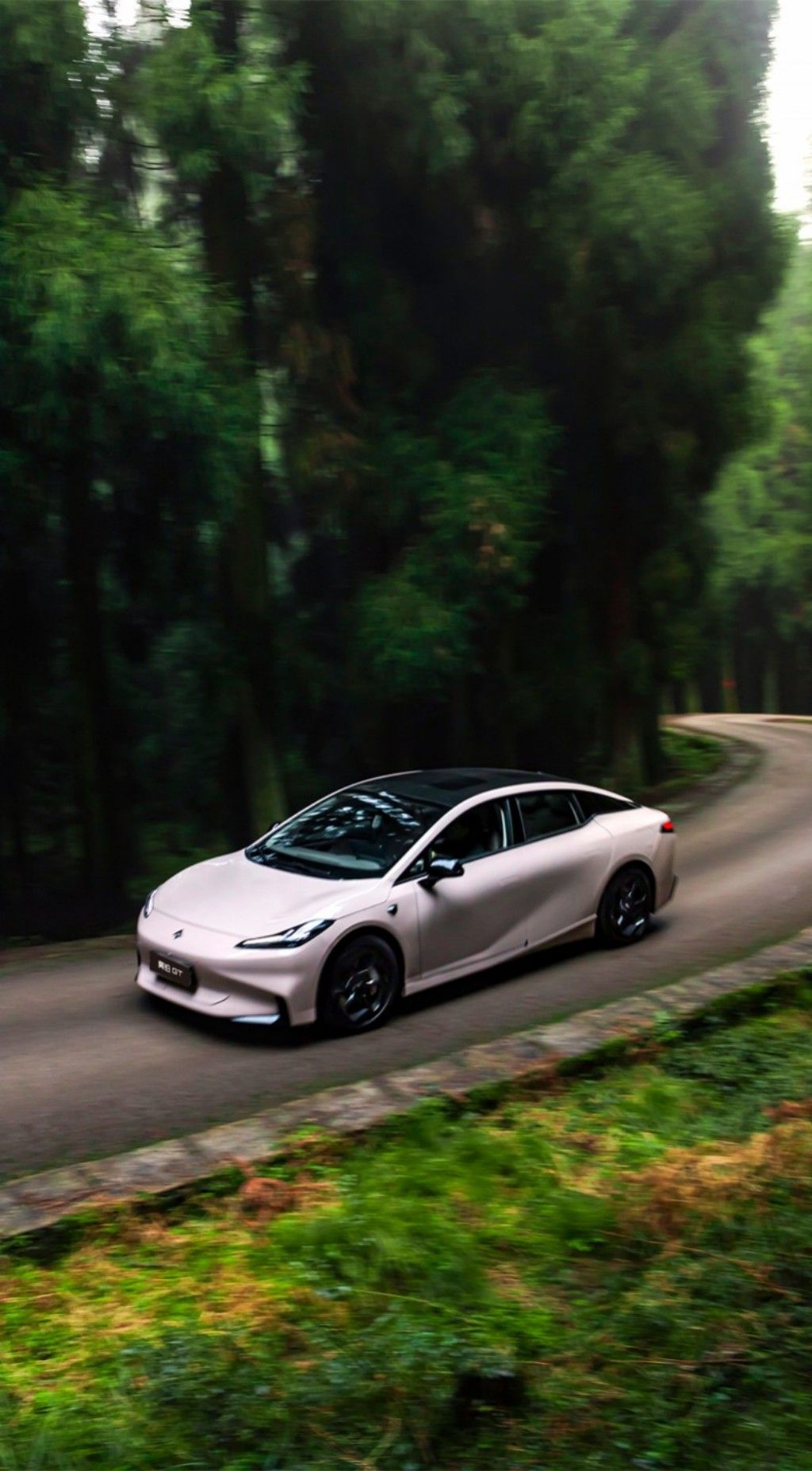 年轻人的性能自由广汽昊铂GT全新Lite版15万起轻享上市(图2)