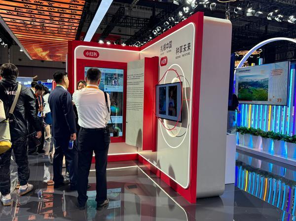 助力海外品牌扎根中国、海外游客读懂中国小红书亮相进博会馆(图1)