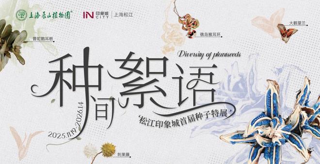 第九屆天津市青年體育節2024海河西岸健步走活動舉行(图12)