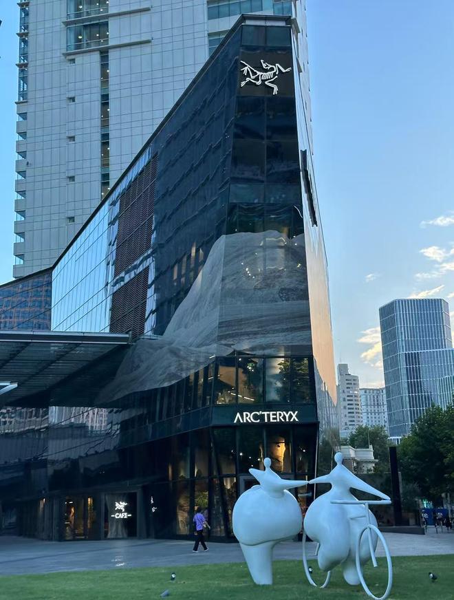 始祖鸟：钱多速来李宁：收到(图3)