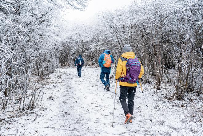 始祖鸟：钱多速来李宁：收到(图6)