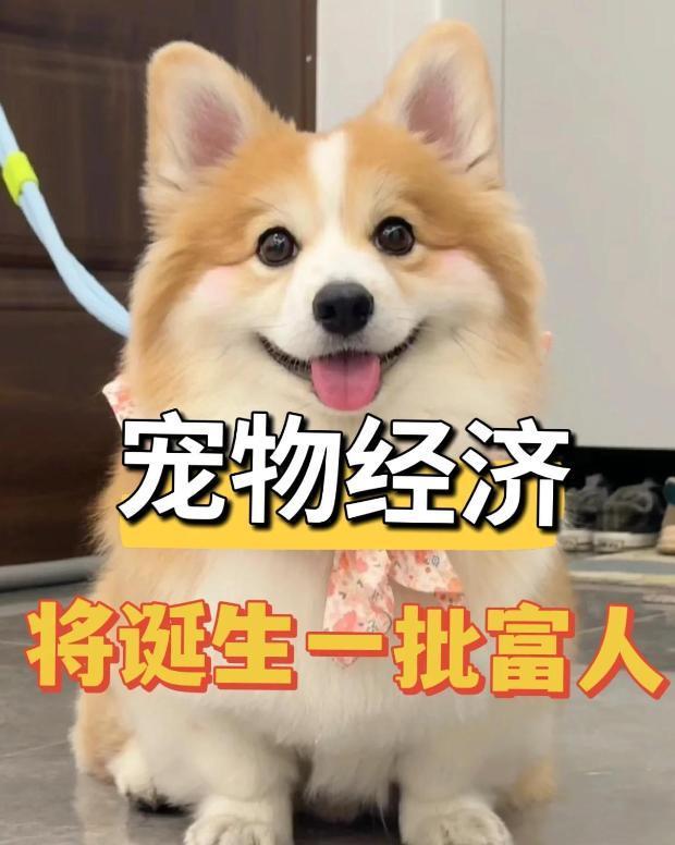 中国进入低欲望时代没人愿意花钱了？5条赛道正闷声发大财！(图3)