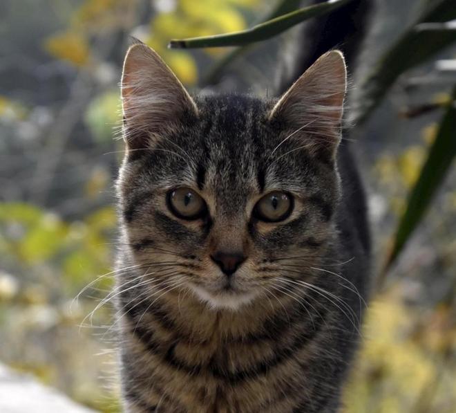 中国进入低欲望时代没人愿意花钱了？5条赛道正闷声发大财！(图4)