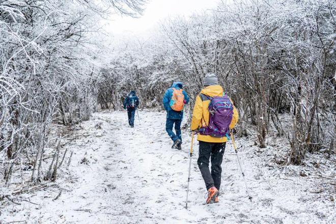 又不爬山又不下河为什么今年中产突然就爱买冲锋衣了？(图11)