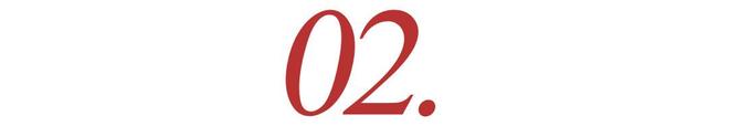 “收购王”又出手29亿！拿下40年德国老牌仅半年就关门大吉？(图9)
