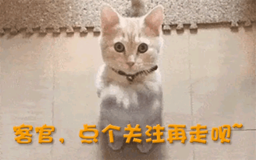 “收购王”又出手29亿！拿下40年德国老牌仅半年就关门大吉？(图31)