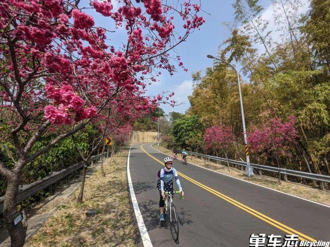 骑自行车减肥骑更快还是骑更远比较有效？(图5)