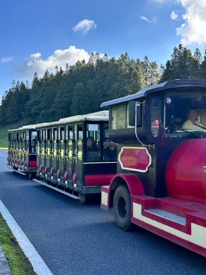 重庆十大景点介绍｜必打卡地标+小众秘境玩法全攻略(图1)