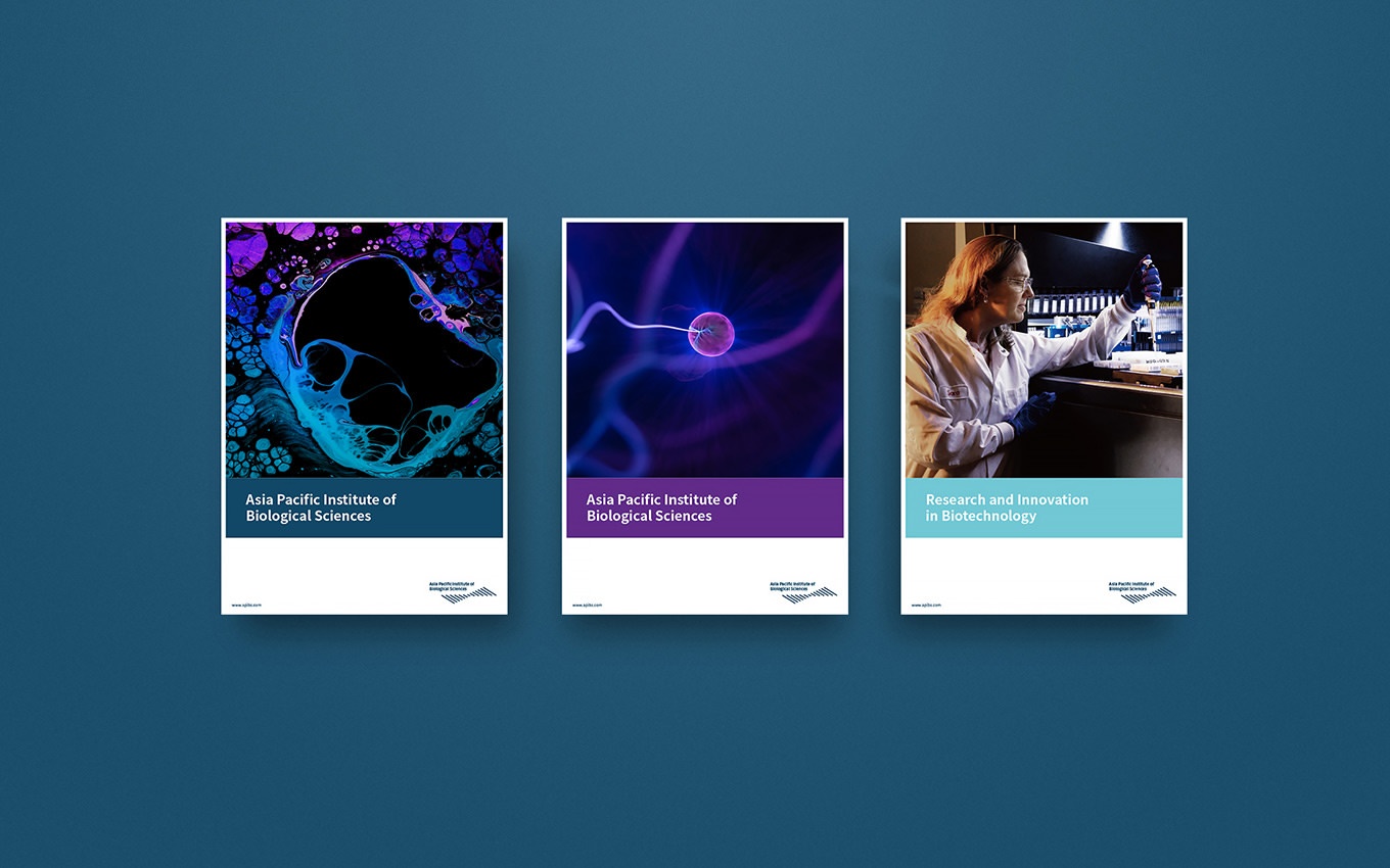 户外运动品牌都有什么-探索21世纪最受欢迎的品牌(图1)