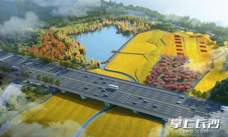 长沙将新增一个城市稻田公园和滨江体育公园(图2)