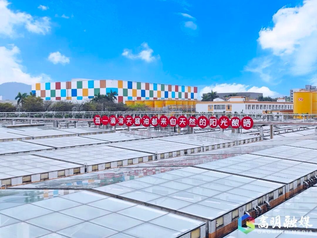 看AI造汽车逛旧厂看秀场广东工业游怎么这么潮？(图15)