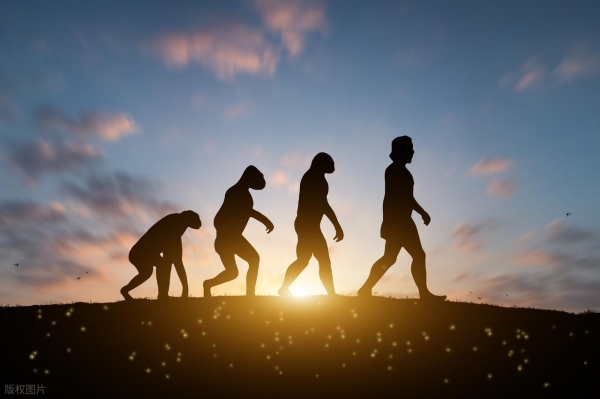 基因决定生死线！《科学》重磅研究颠覆衰老认知人类能活多久？55%由遗传率决定健康饮食、规律运动、良好心(图2)